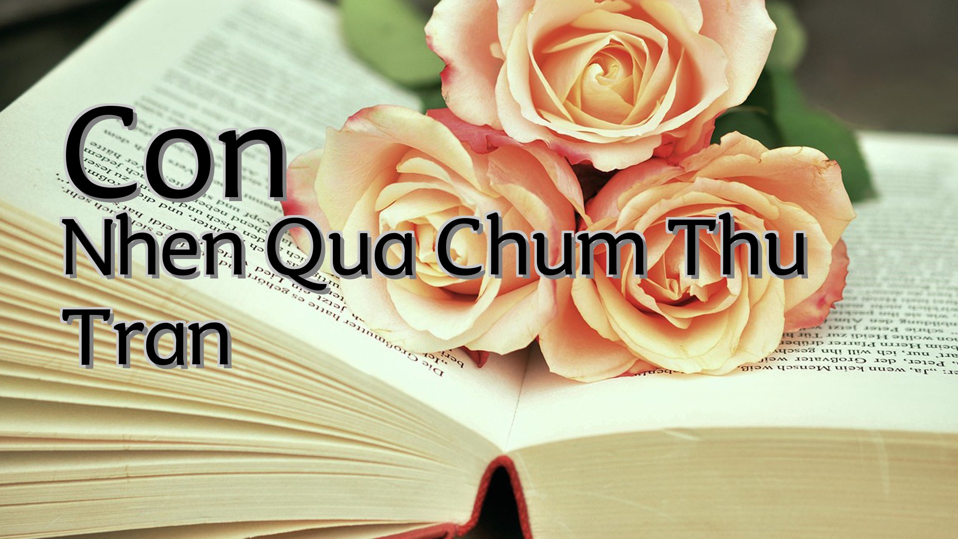 cover-Con Nhen Qua Chum Thu Tran