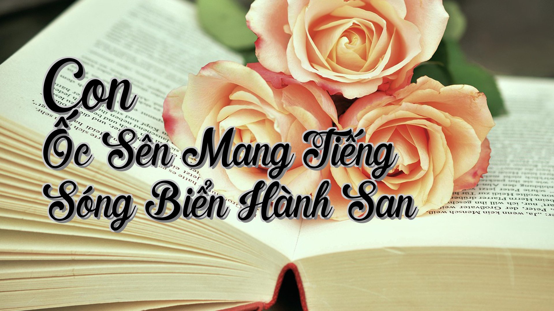 cover-Con Ốc Sên Mang Tiếng Sóng Biển Hành San