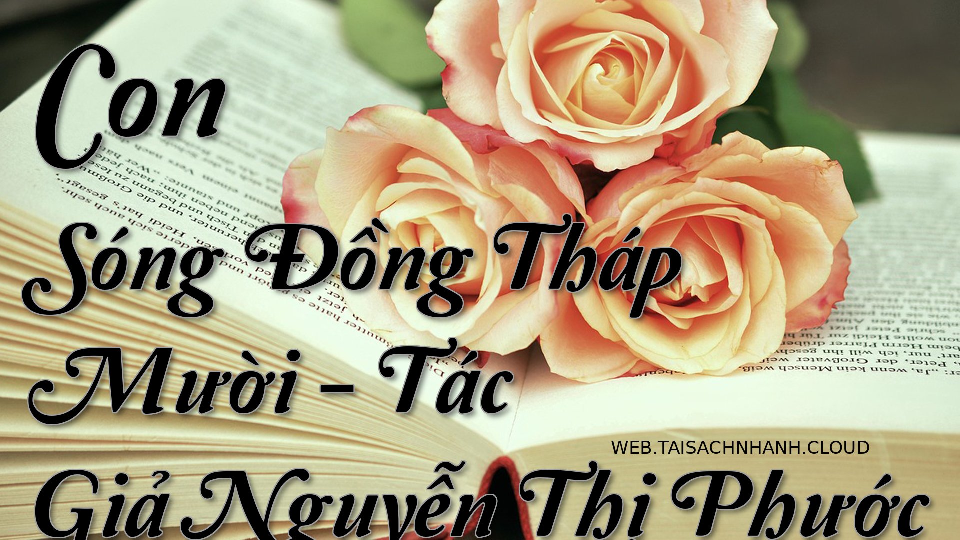 Cover Con Song Dong Thap M.jpg
