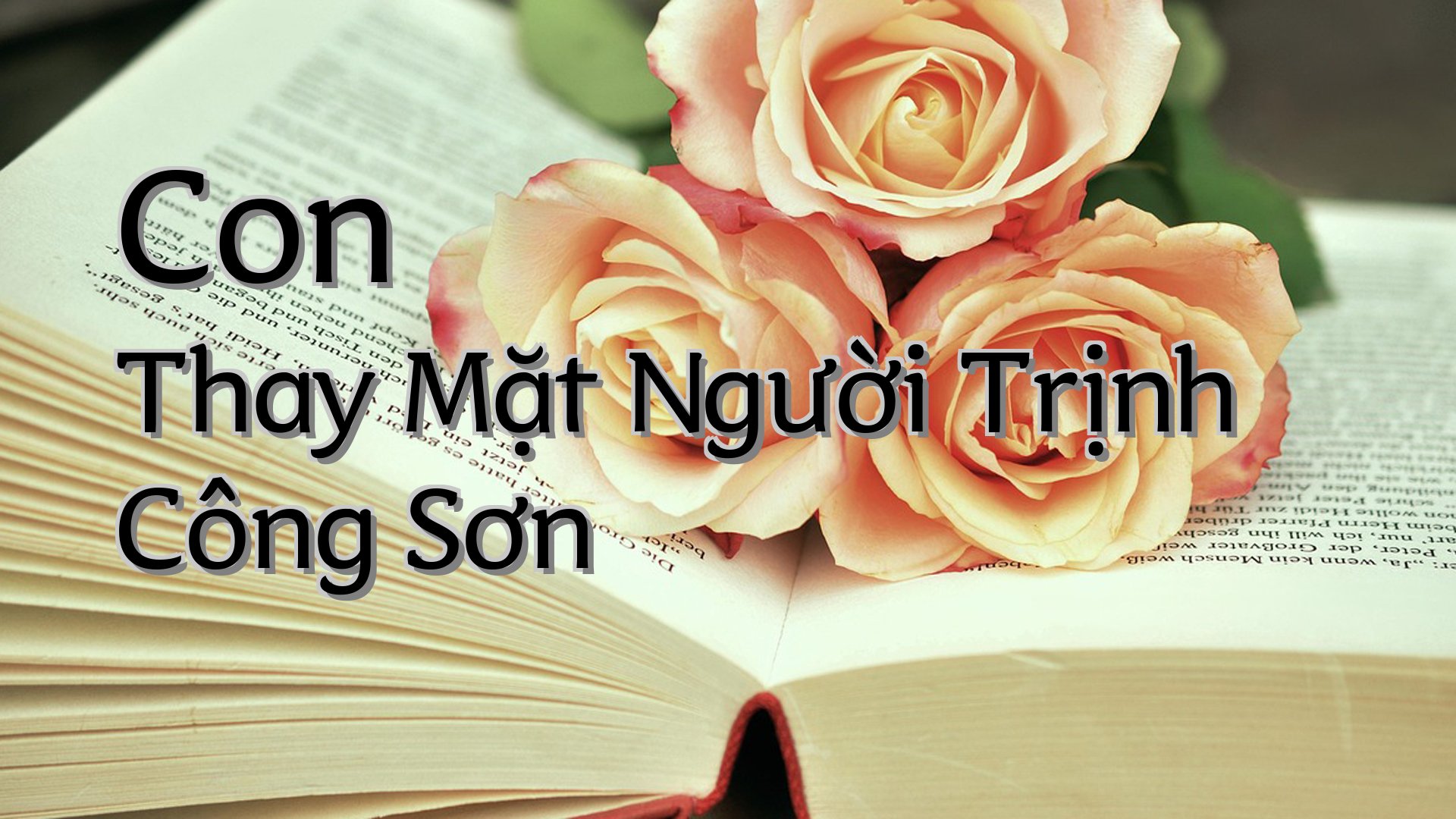 cover-Con Thay Mặt Người Trịnh Công Sơn