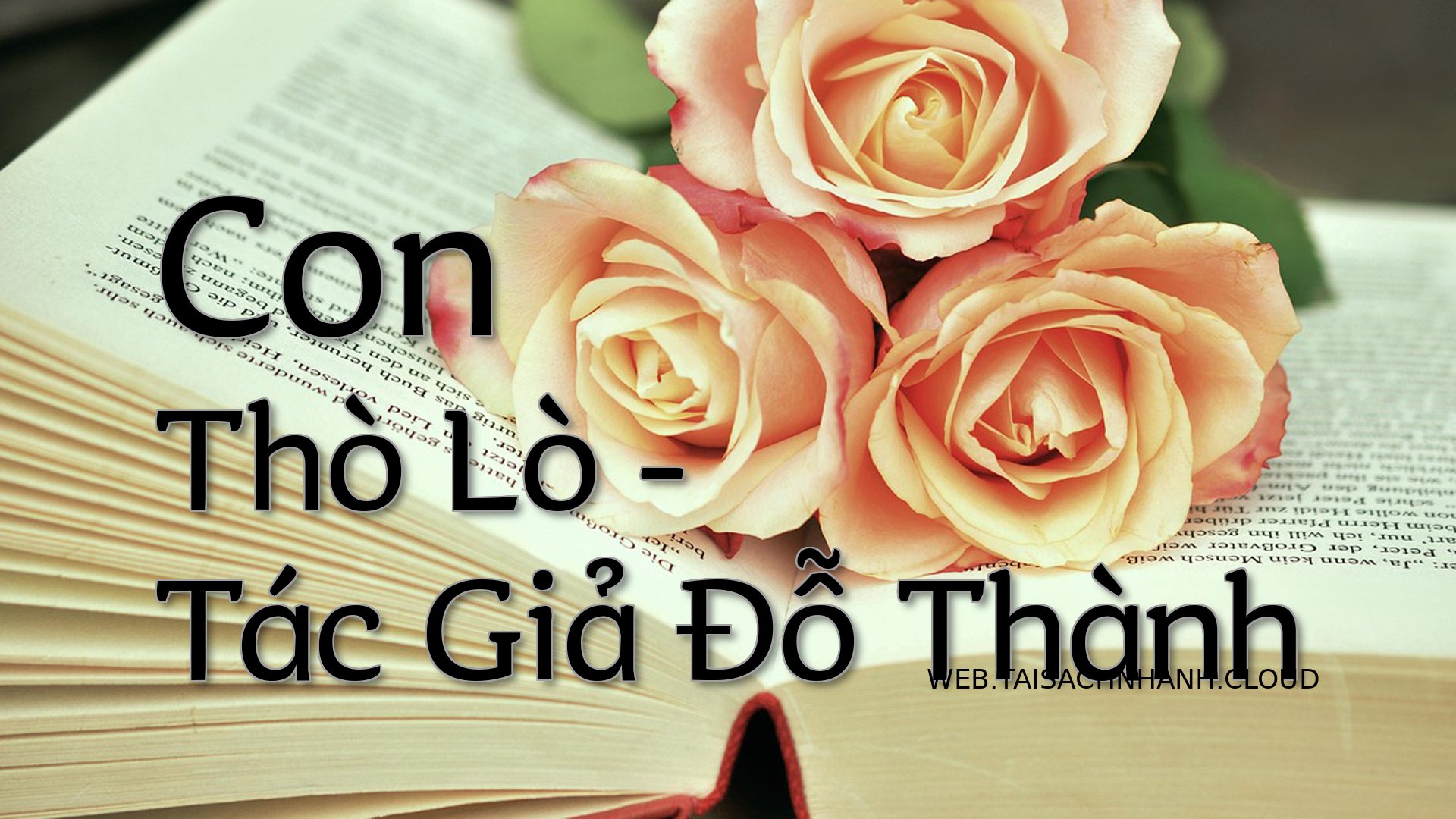 Cover Con Tho Lo.jpg