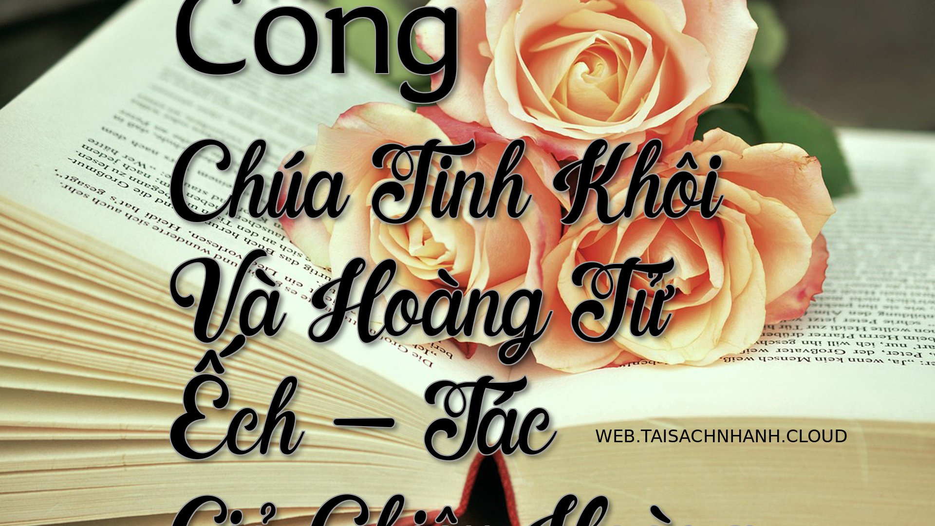 Cover Cong Chua Tinh Khoi .jpg