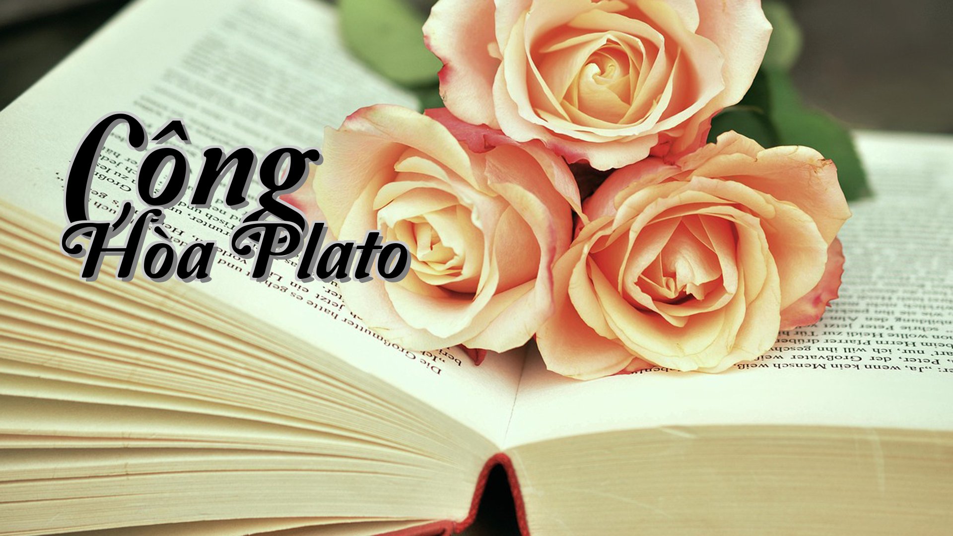 cover-Cộng Hòa Plato