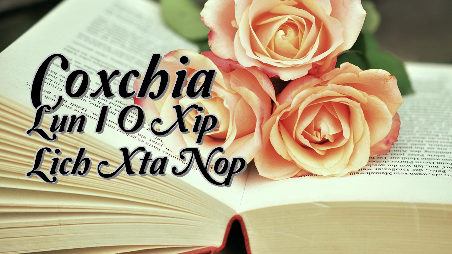 cover-Coxchia Lun I O Xip Lich Xta Nop