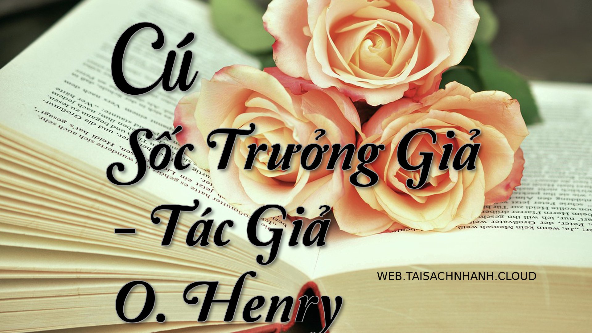 Cover Cu Soc Truong Gia.jpg