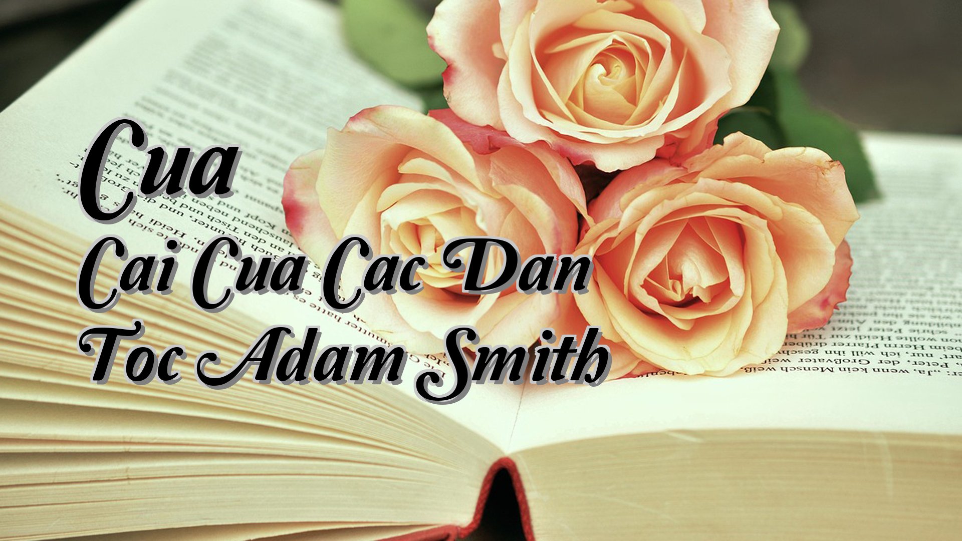 cover-Cua Cai Cua Cac Dan Toc Adam Smith