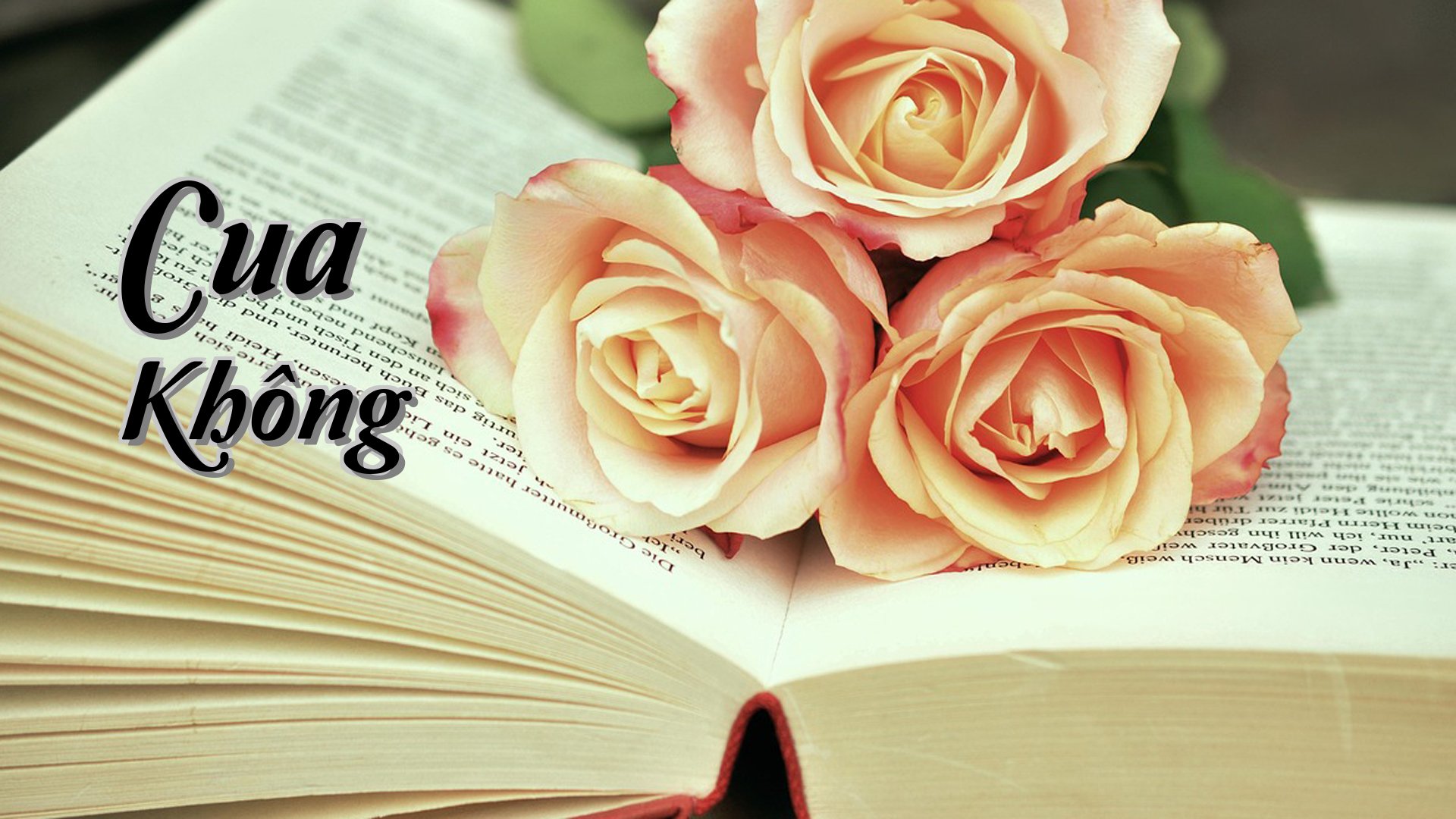 cover-Cua Không