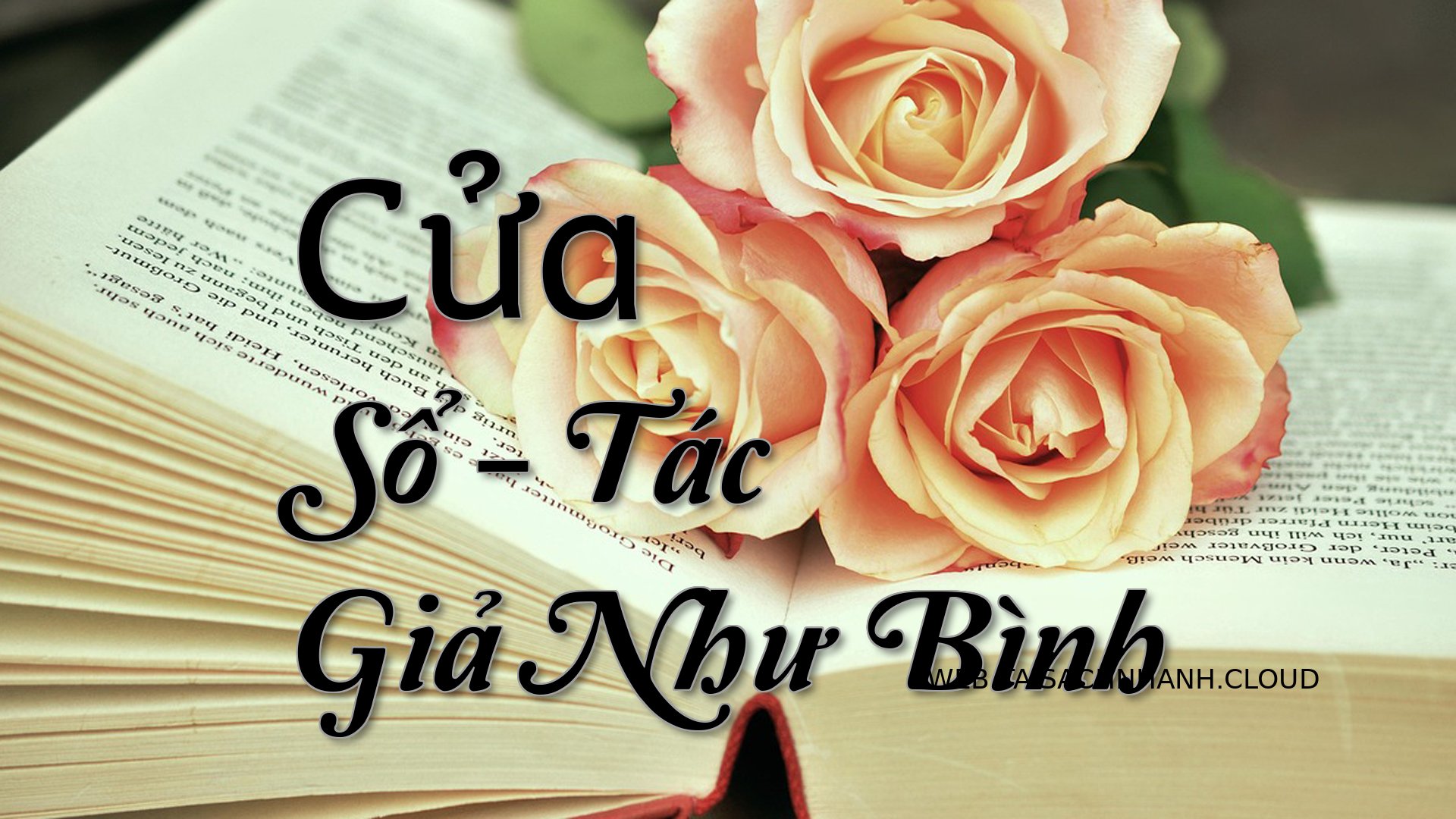 Cover Cua So.jpg