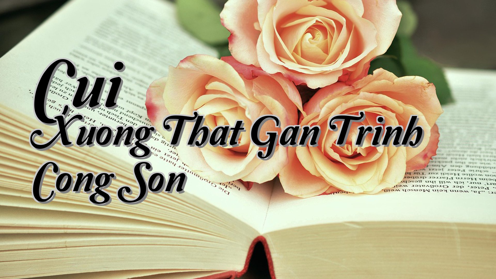 cover-Cui Xuong That Gan Trinh Cong Son