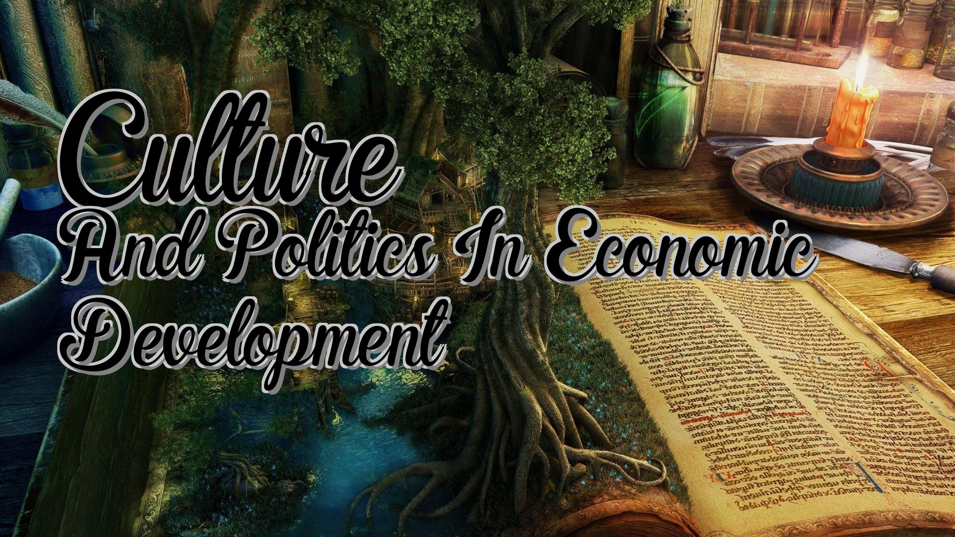 cover-Culture And Politics In Economic Development
