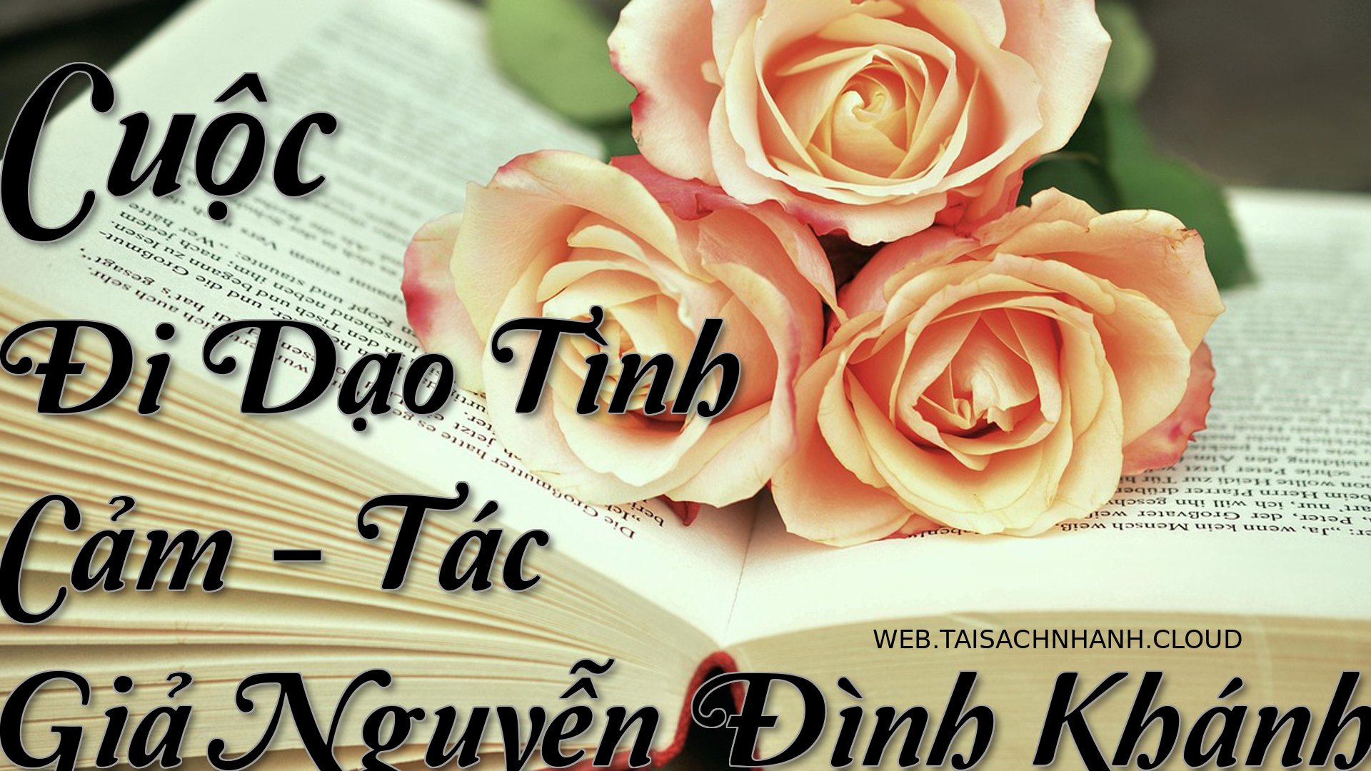 Cover Cuoc Di Dao Tinh Cam.jpg