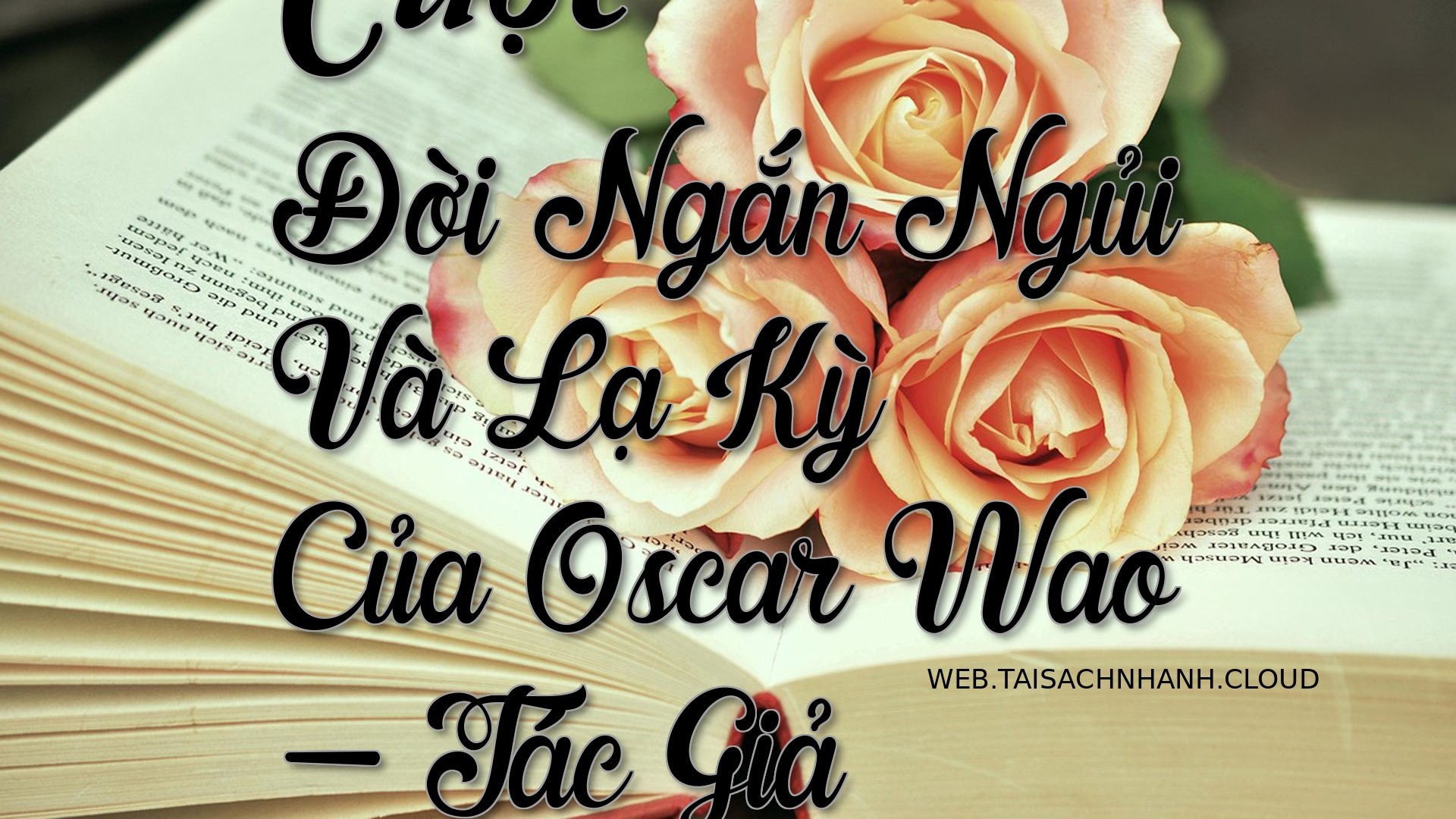 Cover Cuoc Doi Ngan Ngui V.jpg