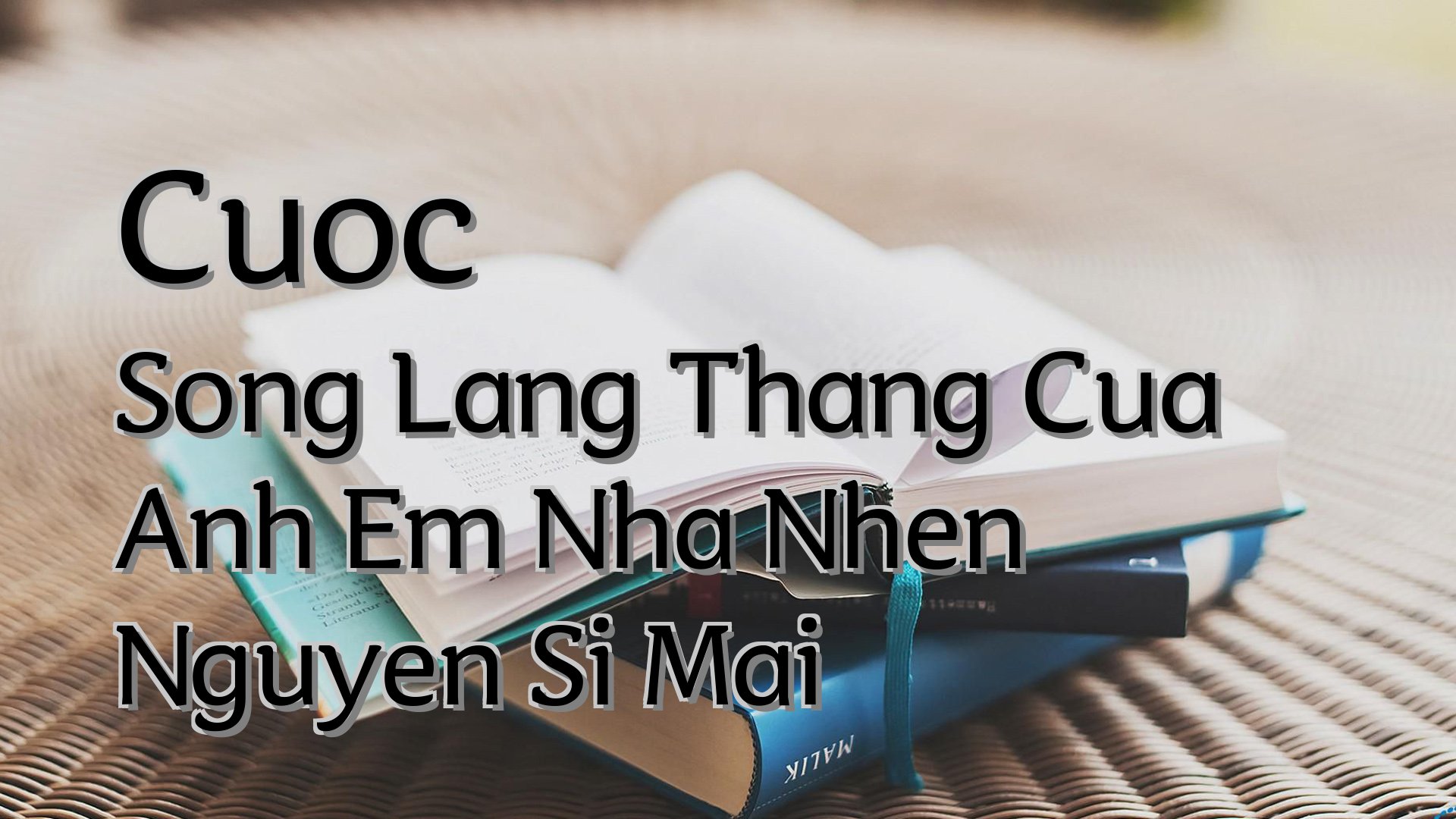 cover-Cuoc Song Lang Thang Cua Anh Em Nha Nhen Nguyen Si Mai