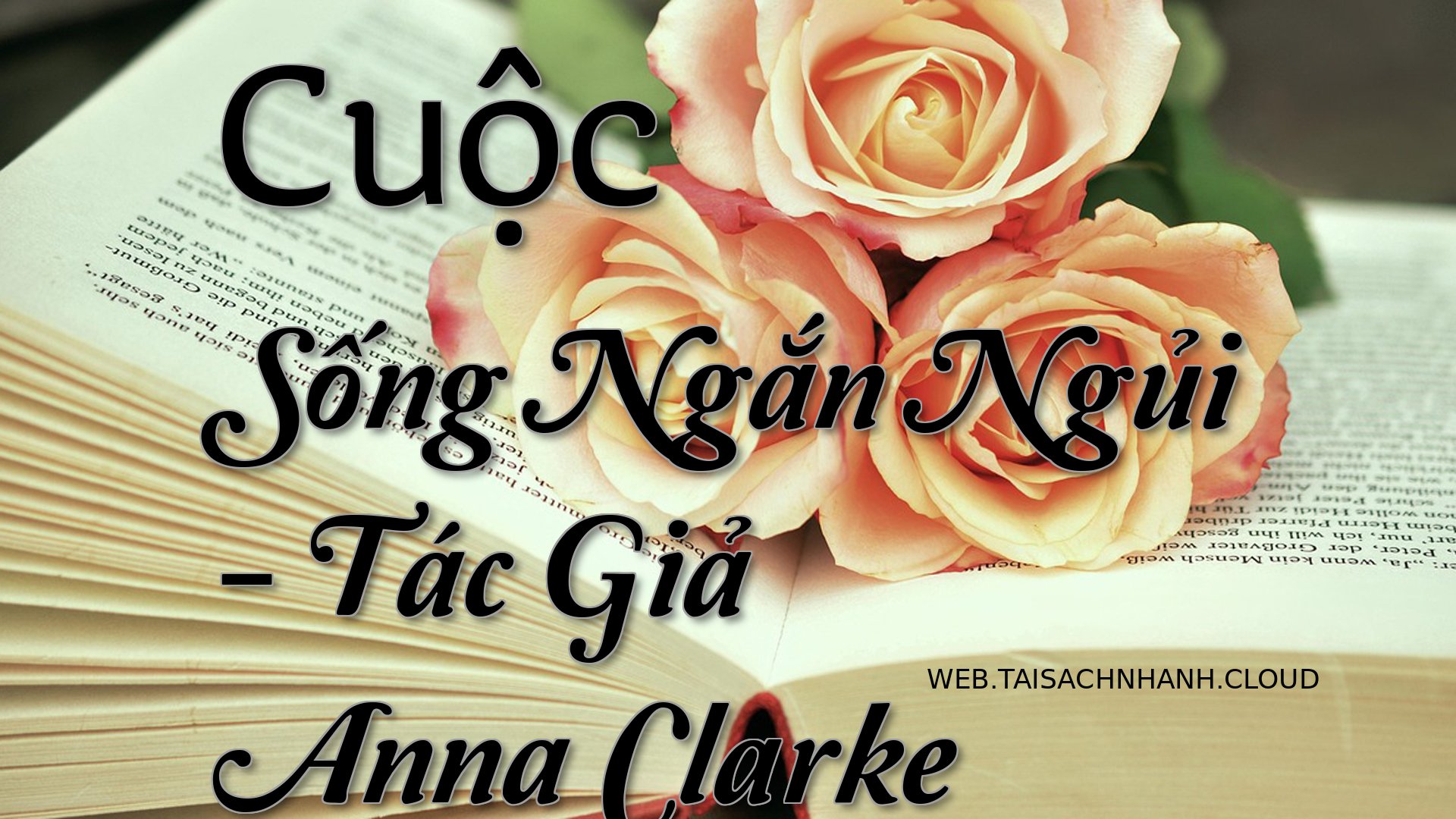 Cover Cuoc Song Ngan Ngui.jpg