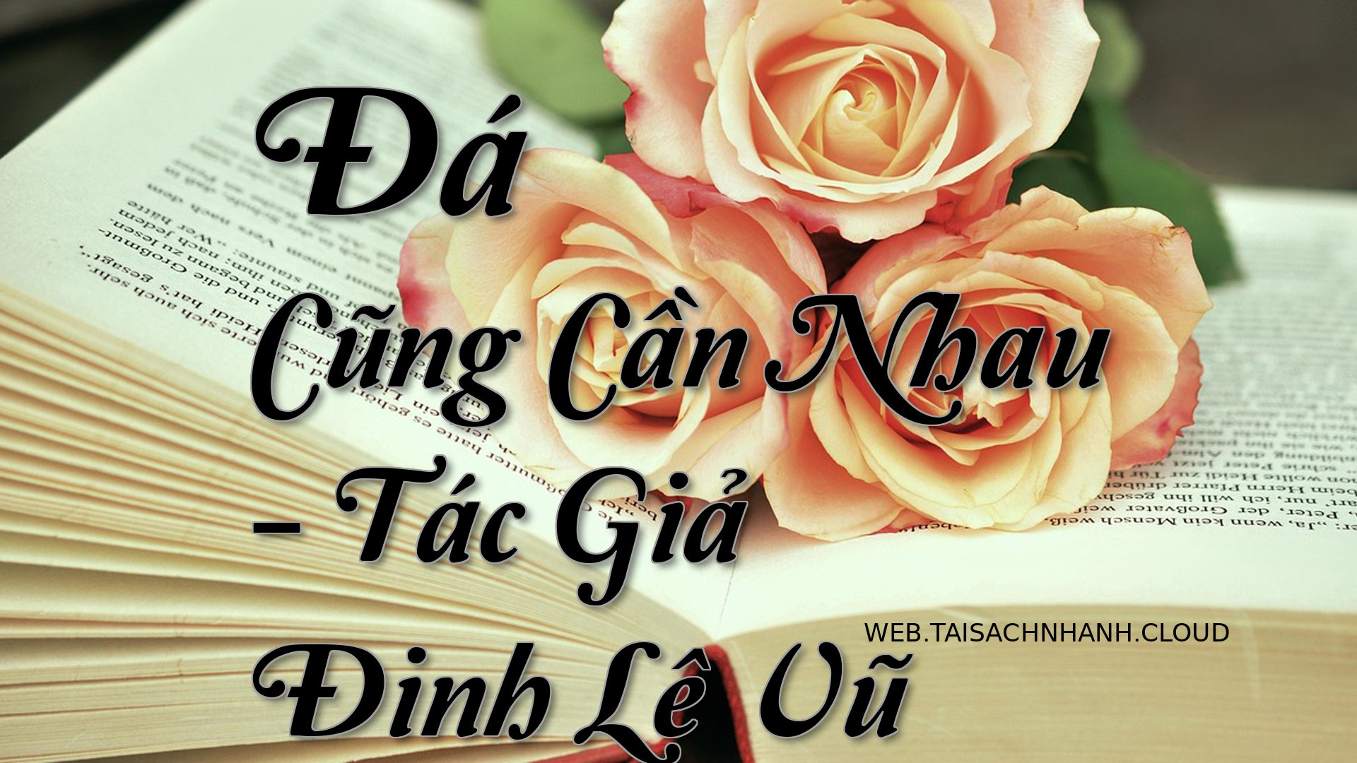 Cover Da Cung Can Nhau.jpg