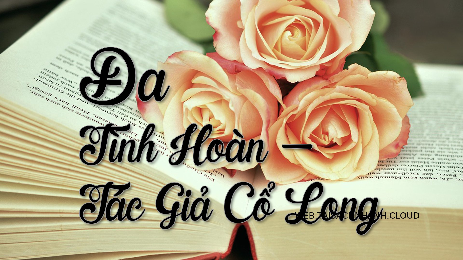 Cover Da Tinh Hoan.jpg