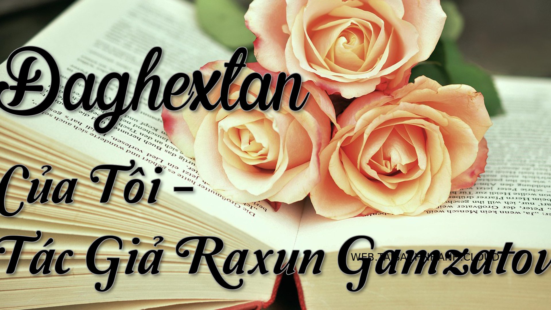 Cover Daghextan Cua Toi.jpg
