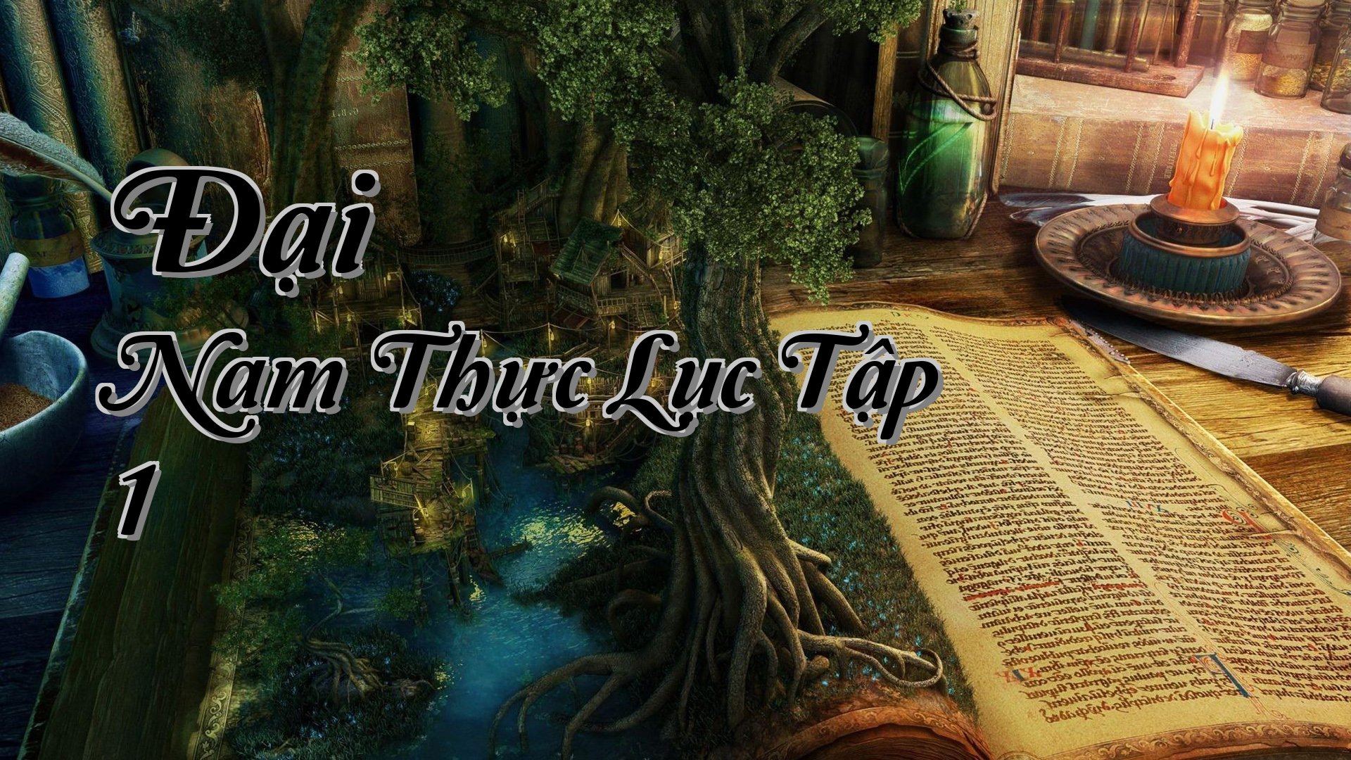 cover-Đại Nam Thực Lục Tập 1