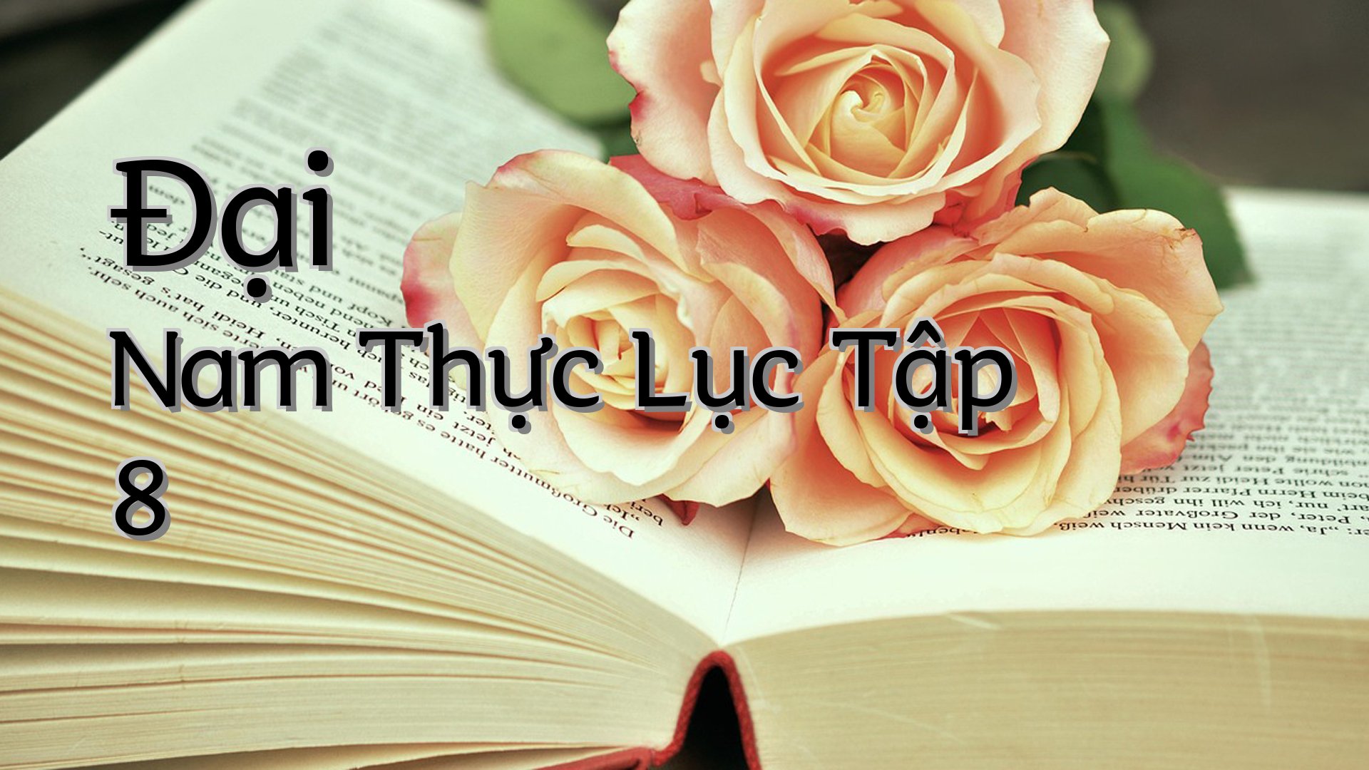 cover-Đại Nam Thực Lục Tập 8