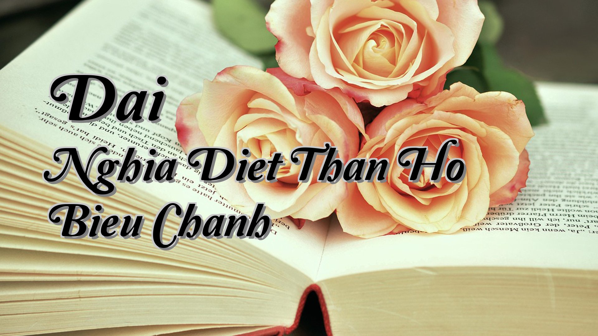 Cover image for Dai Nghia Diet Than Ho Bieu Chanh