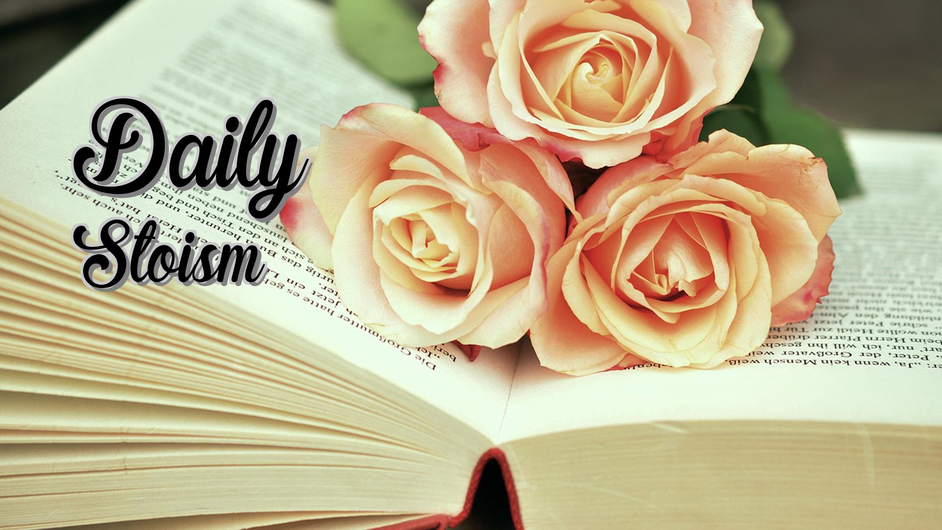 Cover image for Daily Stoism