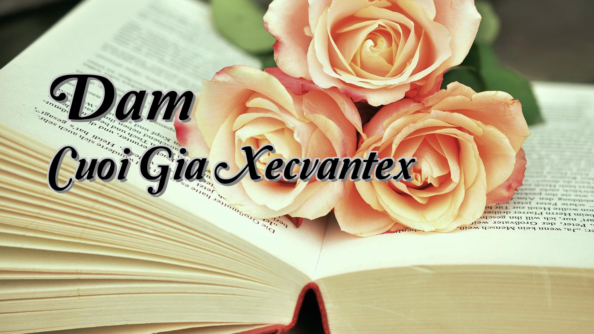 cover-Dam Cuoi Gia Xecvantex