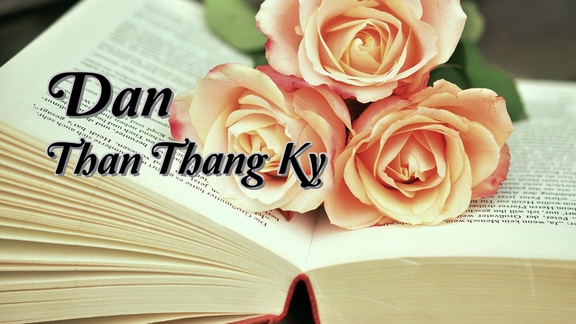 Cover image for Dan Than Thang Ky