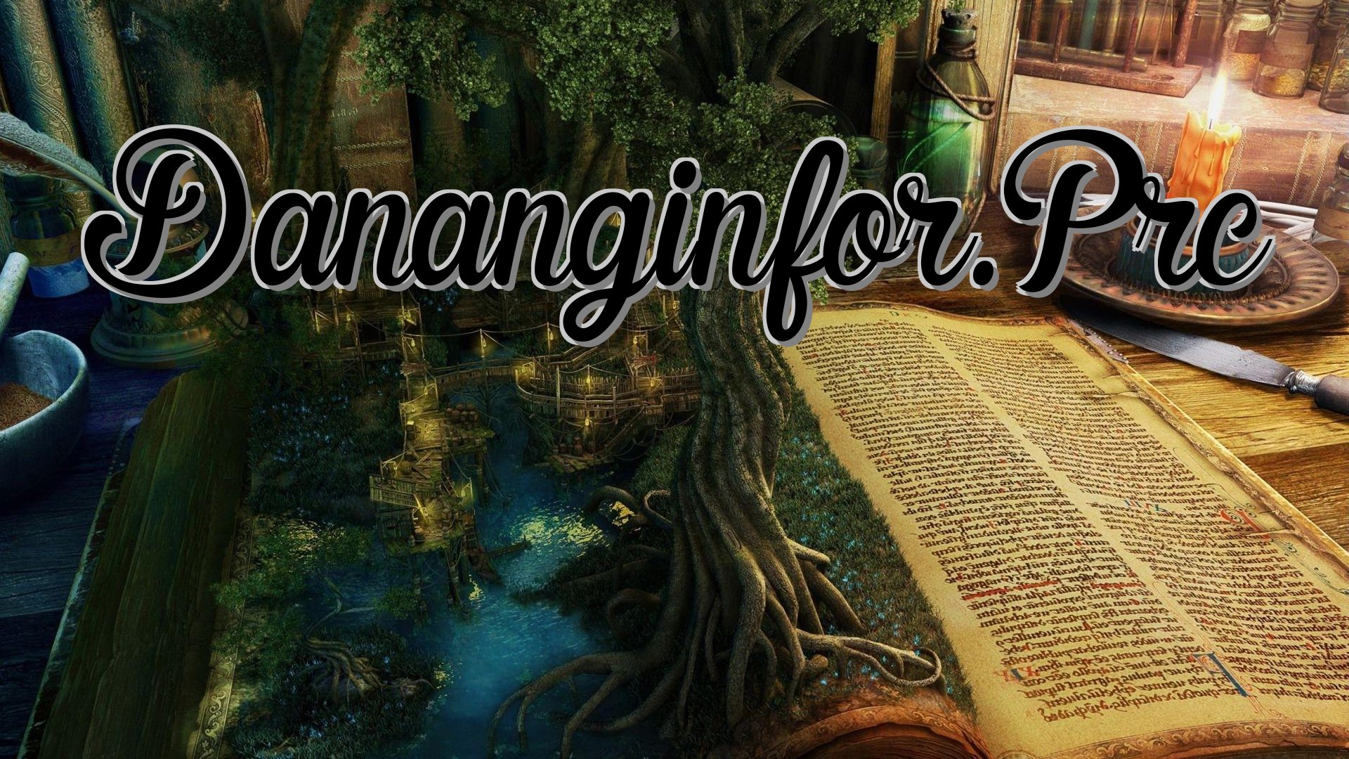 cover-Dananginfor.Prc