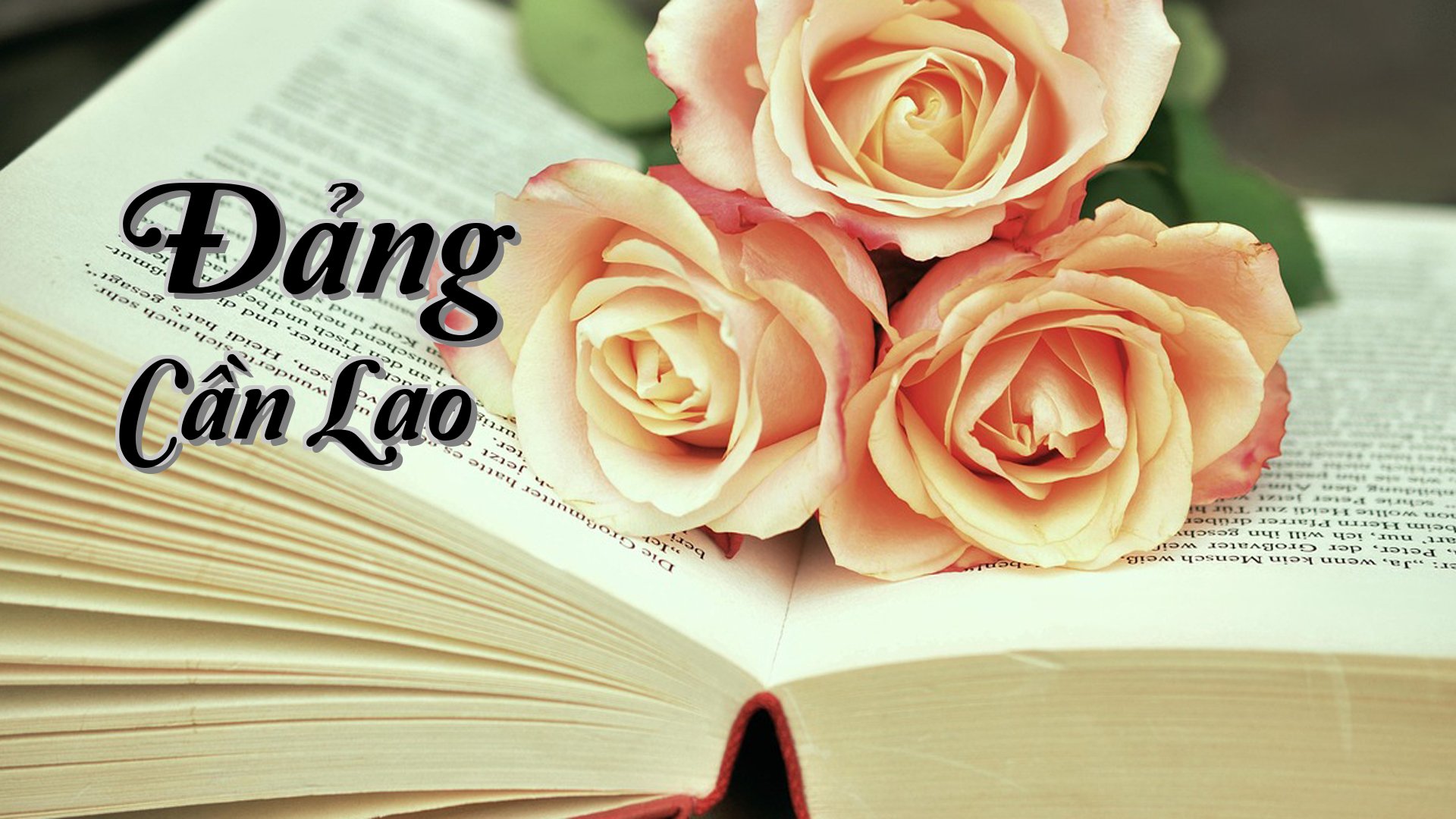 cover-Đảng Cần Lao