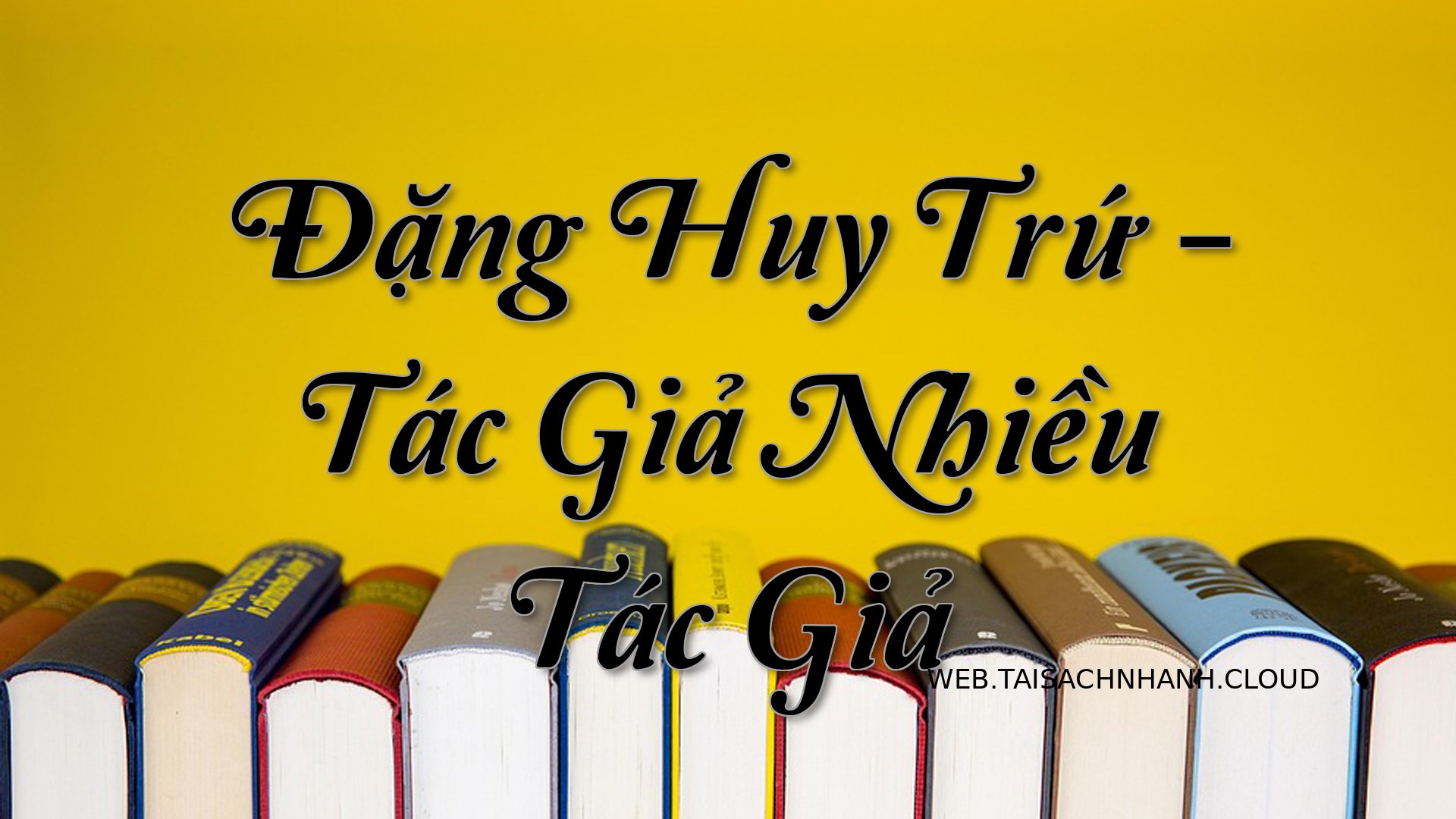 Cover Dang Huy Tru.jpg