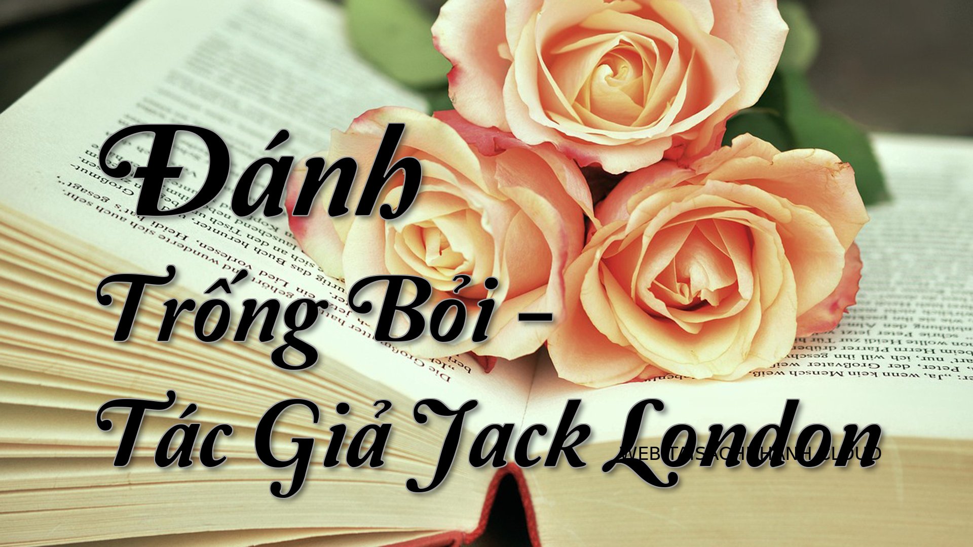 Cover Danh Trong Boi.jpg