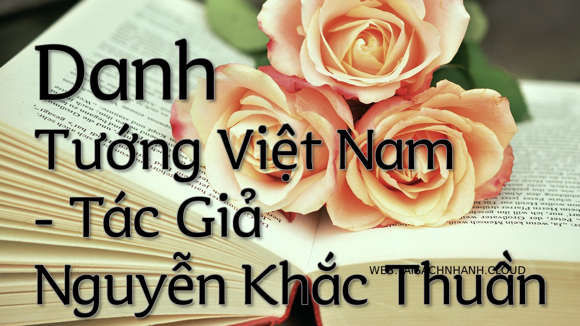 Cover Danh Tuong Viet Nam.jpg