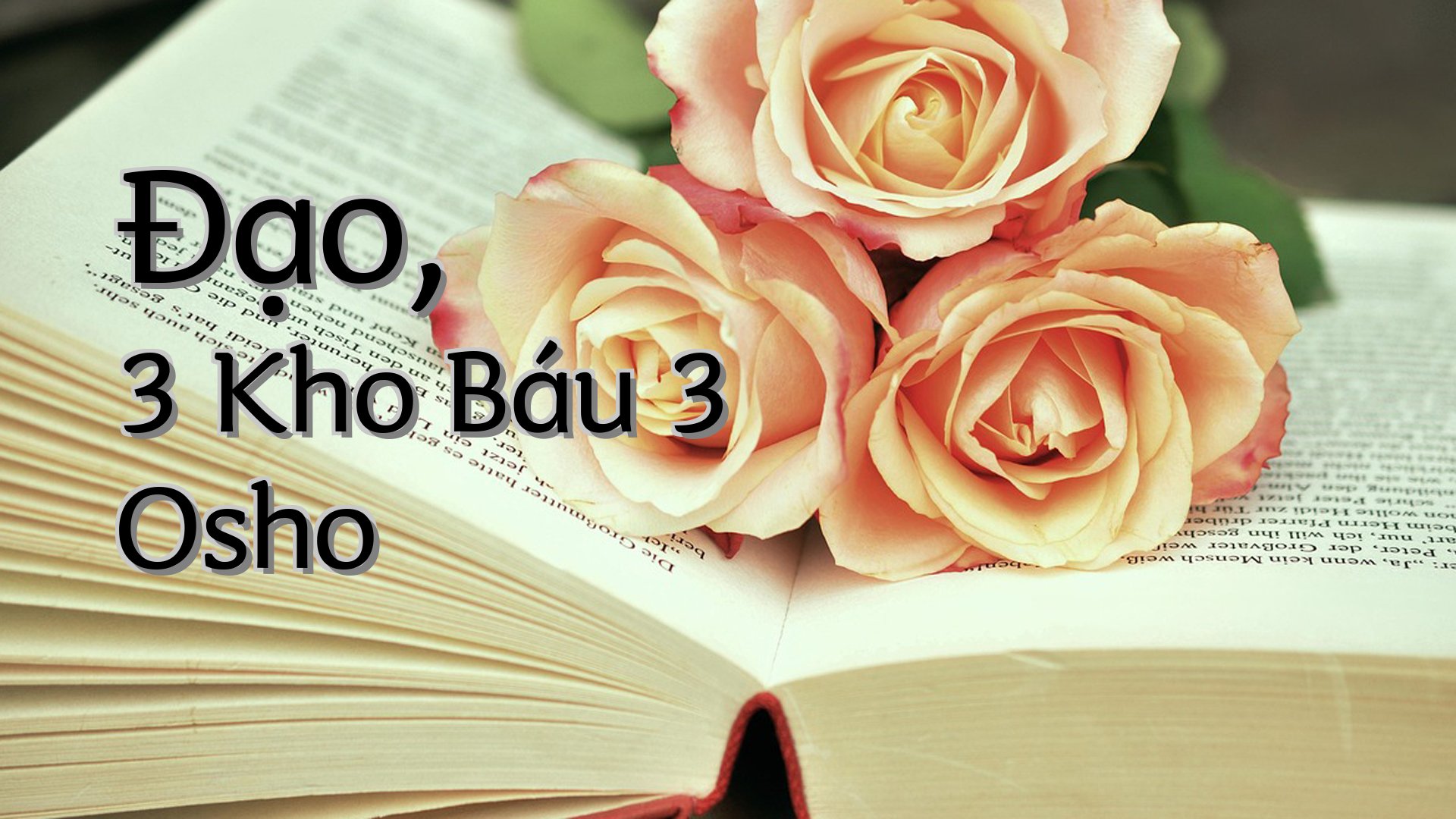 cover-Đạo, 3 Kho Báu 3 Osho