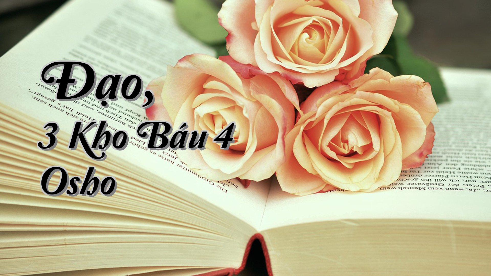 cover-Đạo, 3 Kho Báu 4 Osho