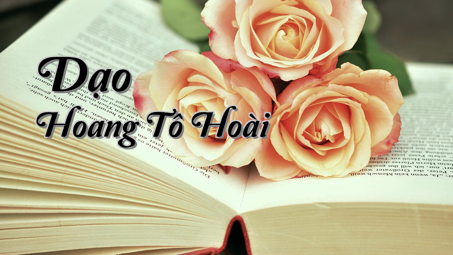 cover-Dạo Hoang Tô Hoài