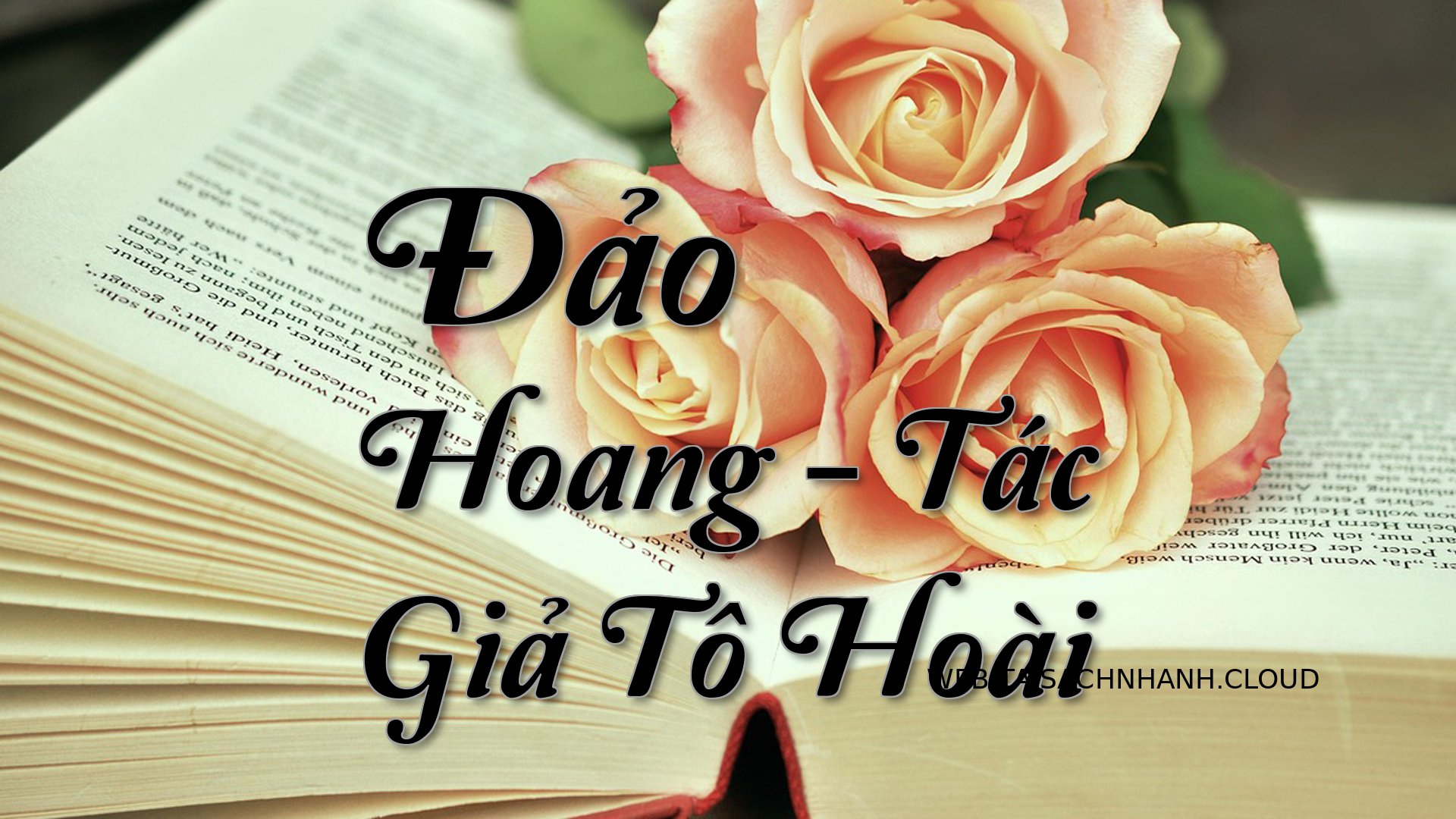 Cover Dao Hoang.jpg