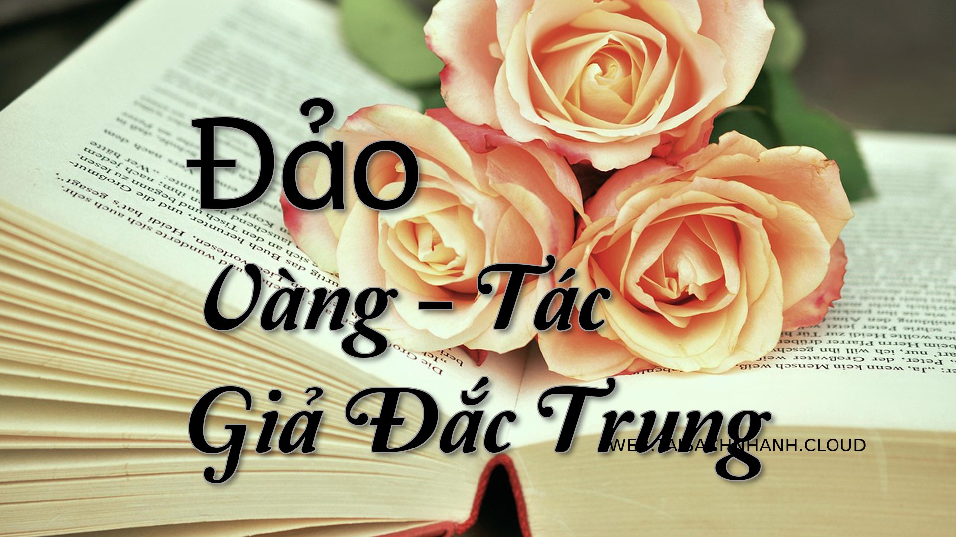 Cover Dao Vang.jpg