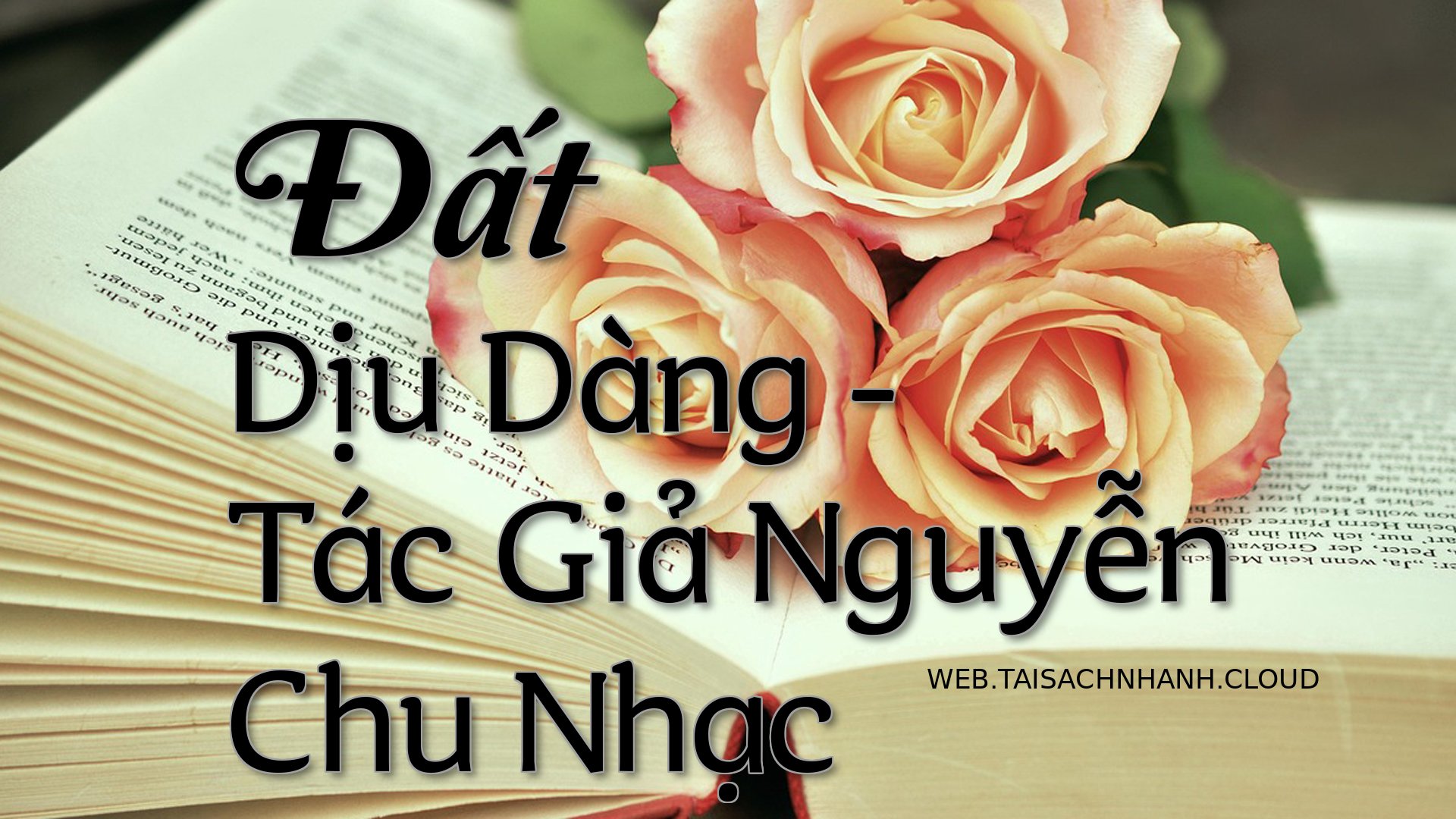 Cover Dat Diu Dang.jpg