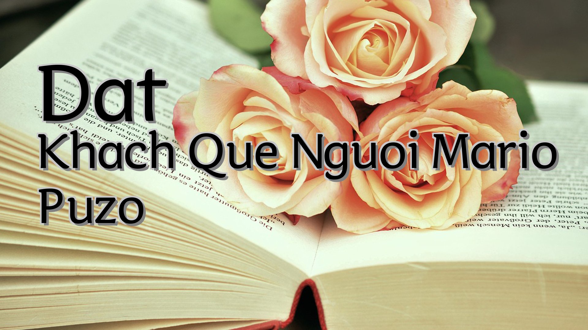 cover-Dat Khach Que Nguoi Mario Puzo