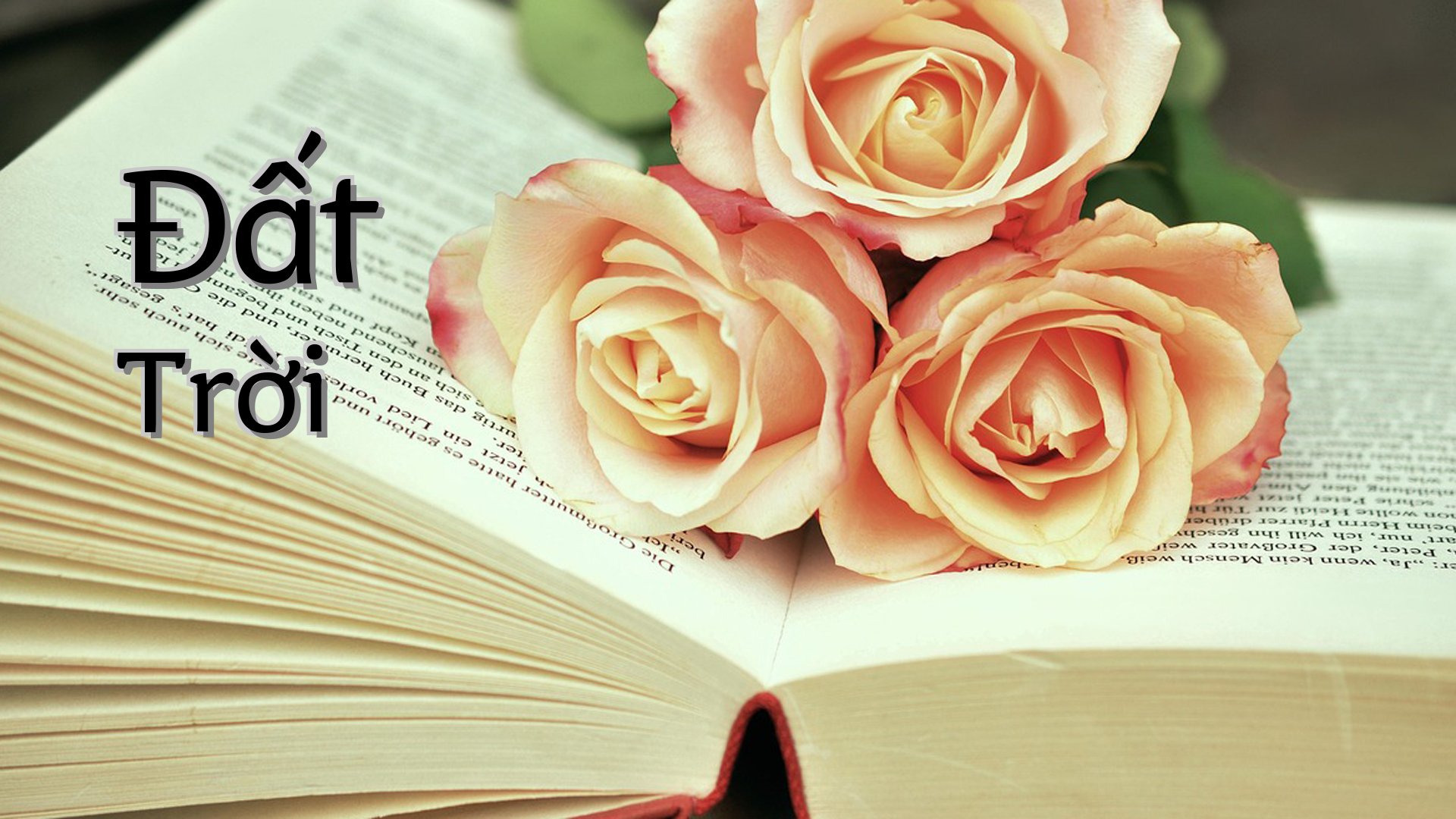 cover-Đất Trời