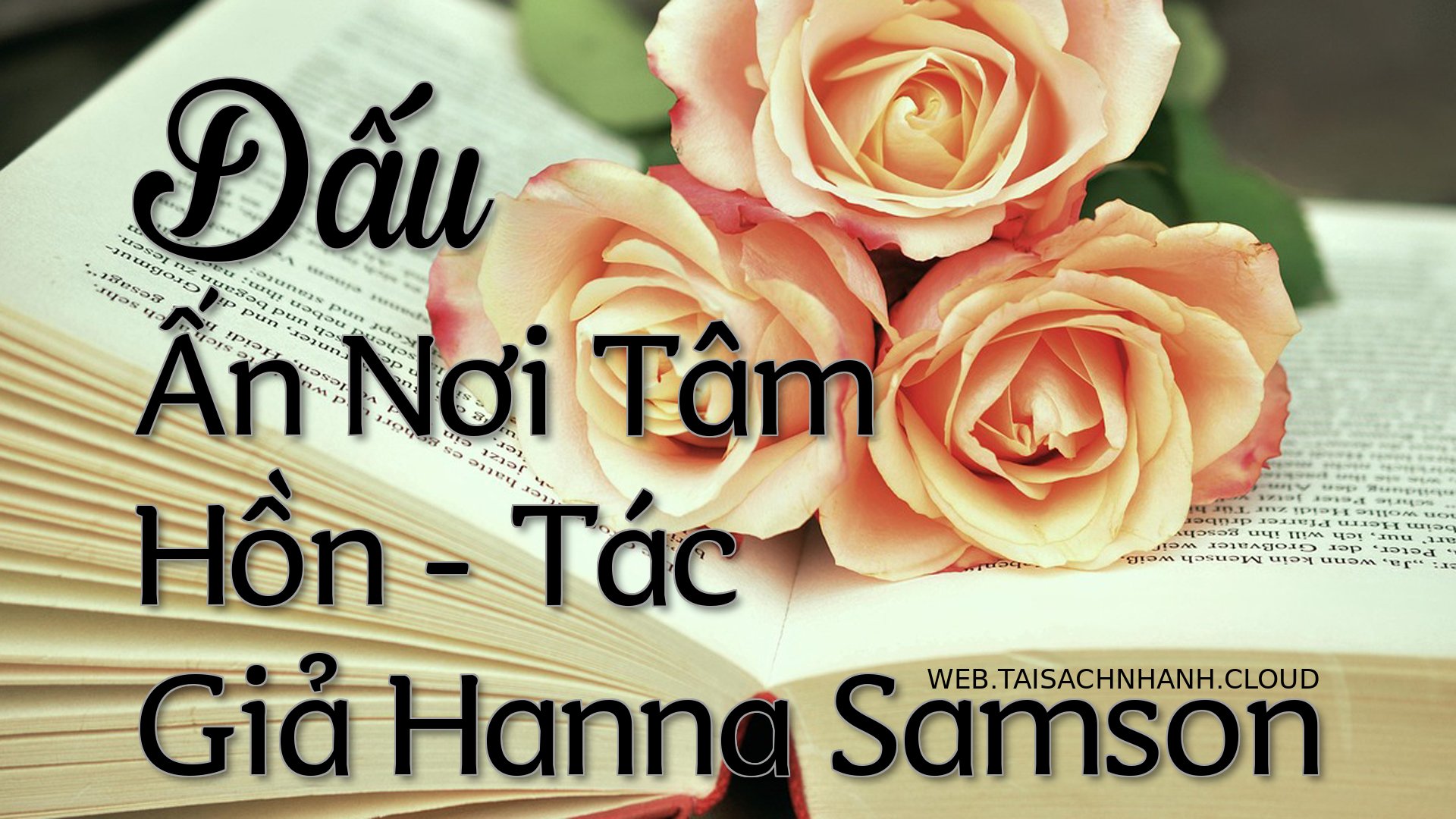 Cover Dau An Noi Tam Hon.jpg