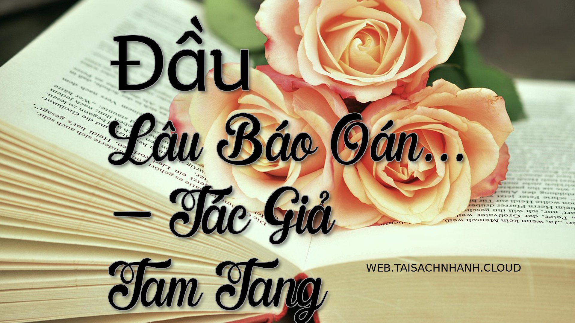 Cover Dau Lau Bao Oan.jpg