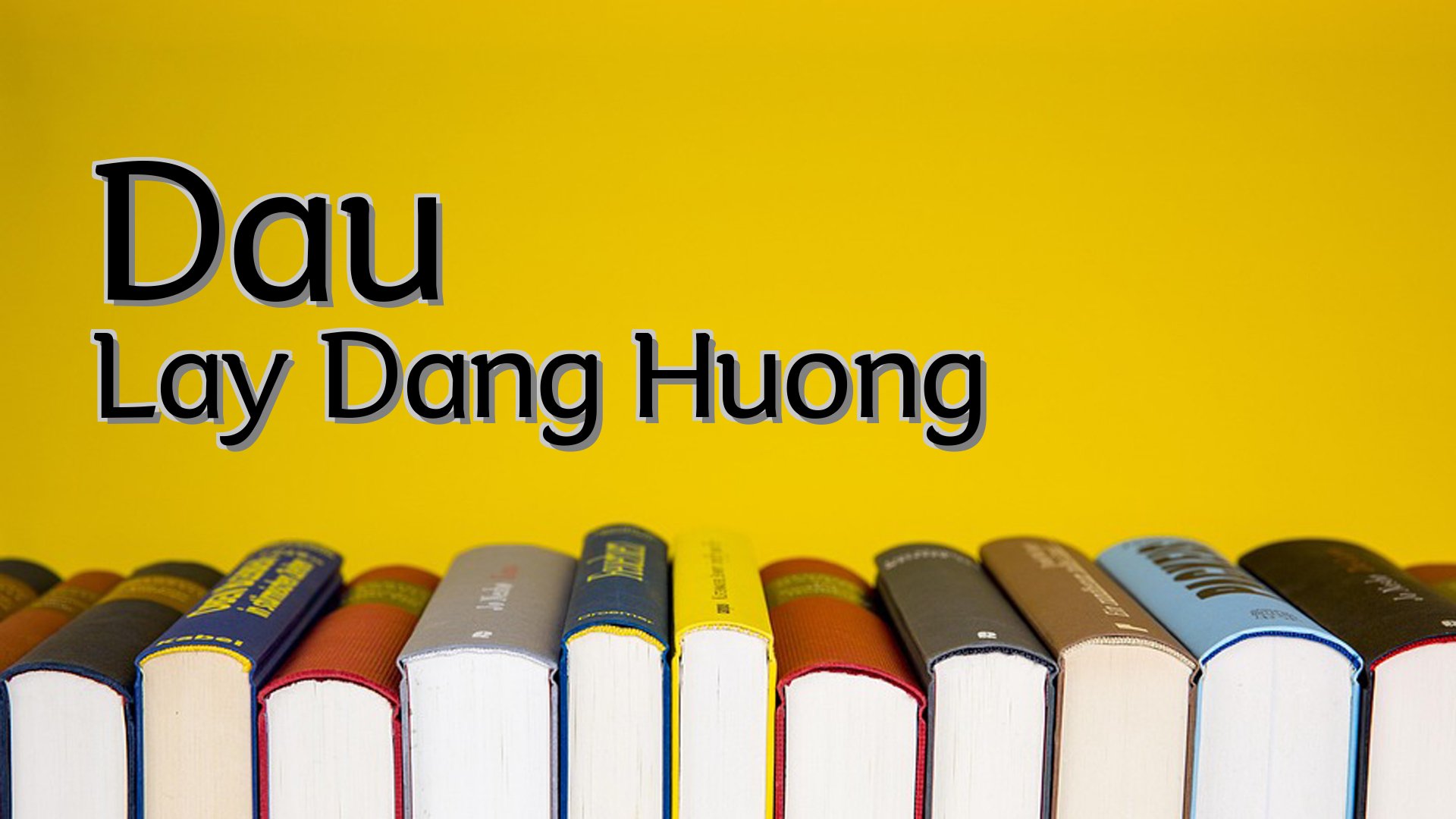 cover-Dau Lay Dang Huong