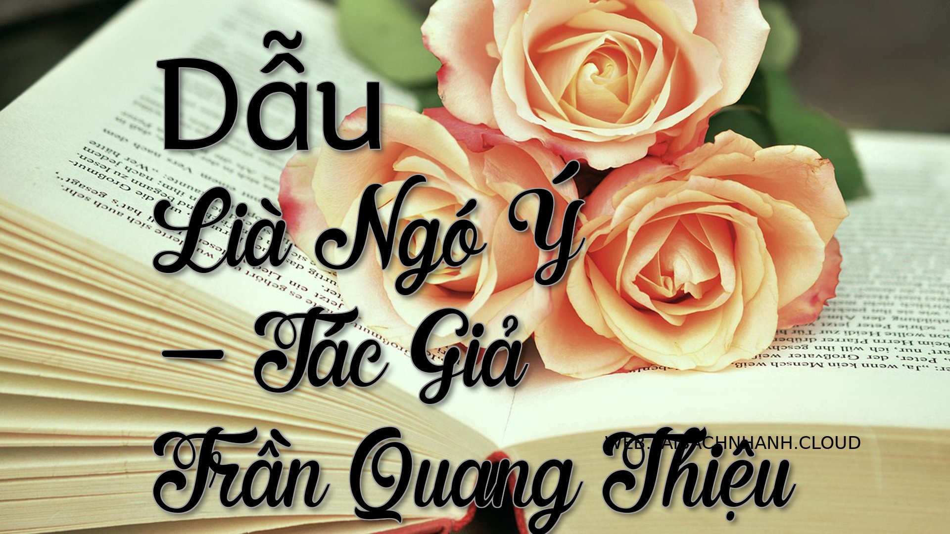 Cover Dau Lia Ngo Y.jpg