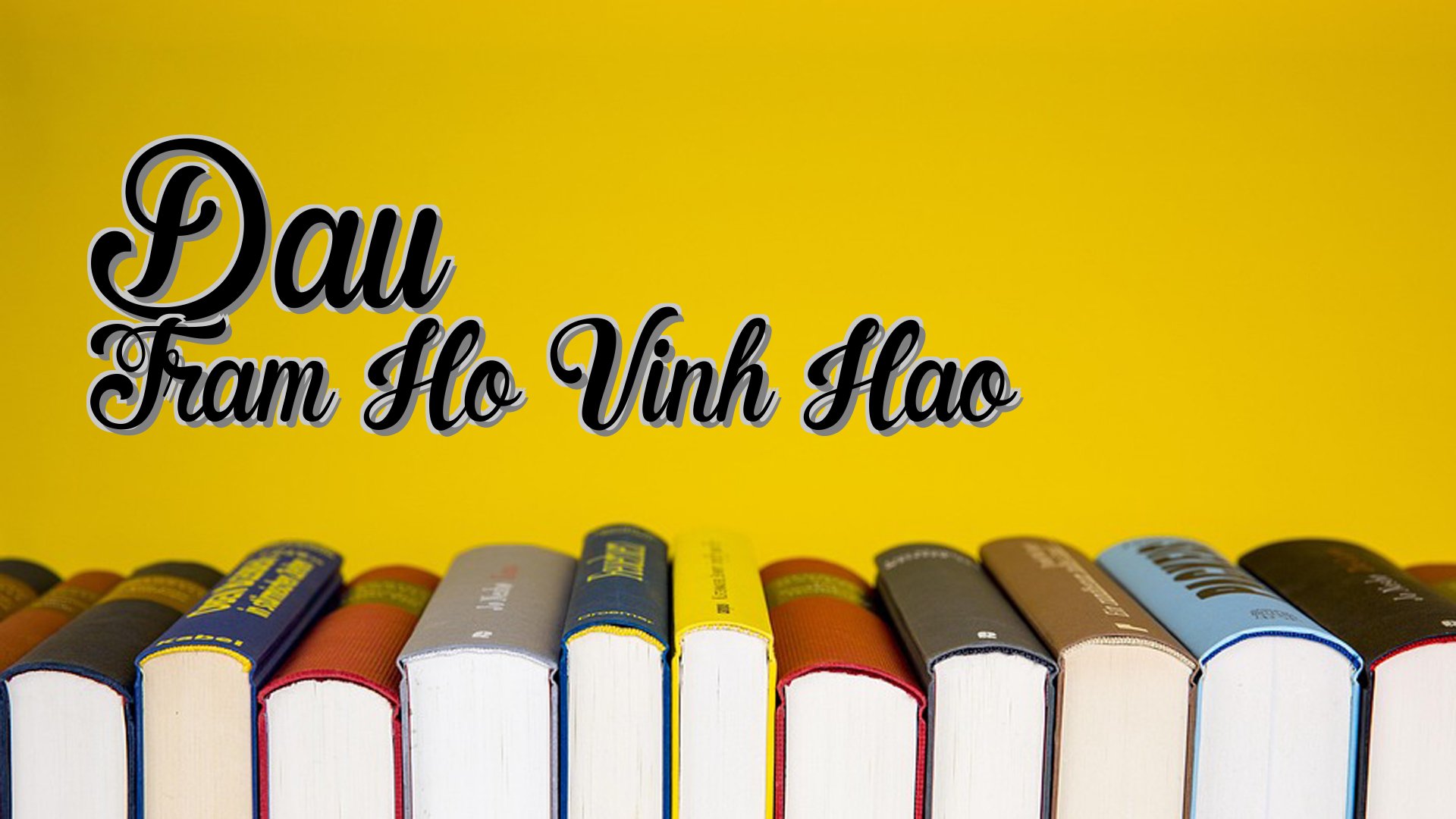 cover-Dau Tram Ho Vinh Hao