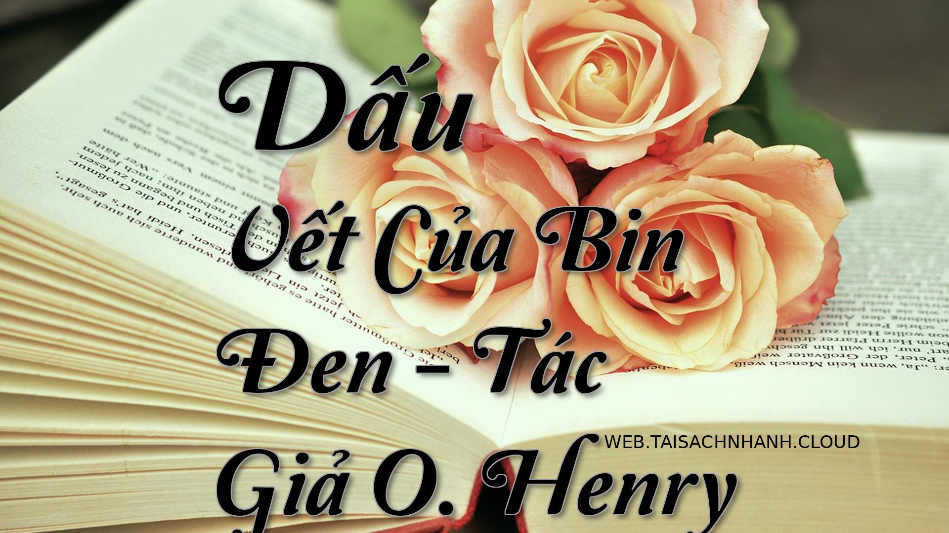 Cover Dau Vet Cua Bin Den.jpg