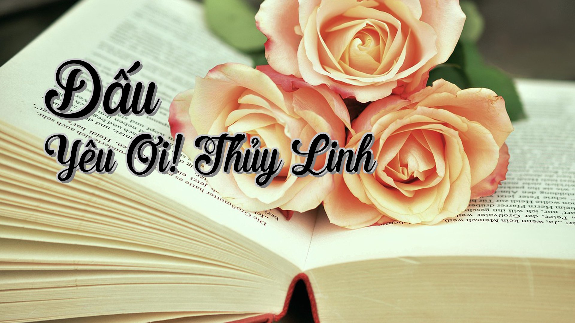 cover-Dấu Yêu Ơi! Thủy Linh