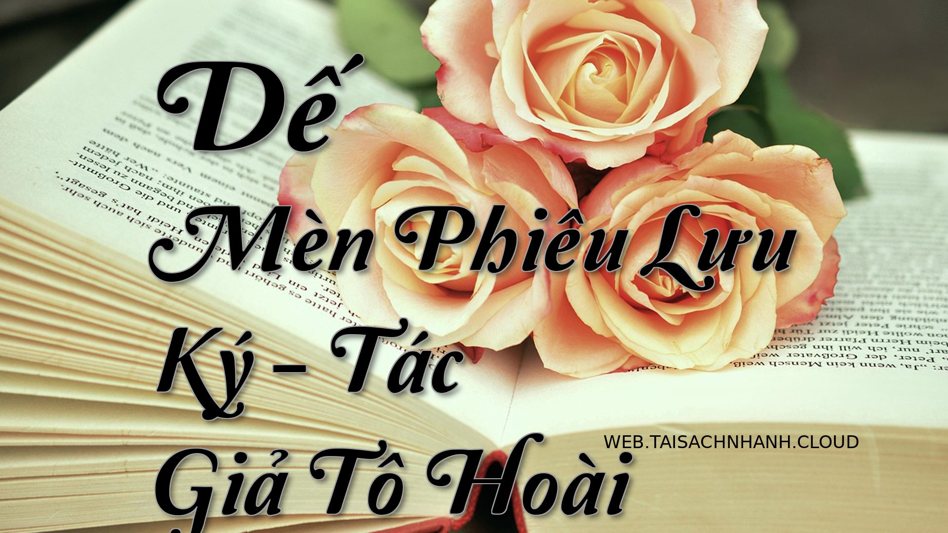 Cover De Men Phieu Luu Ky.jpg
