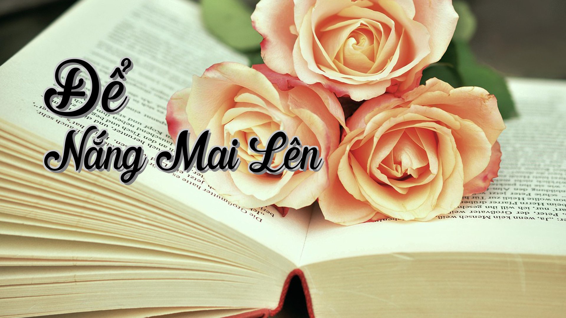 cover-Để Nắng Mai Lên