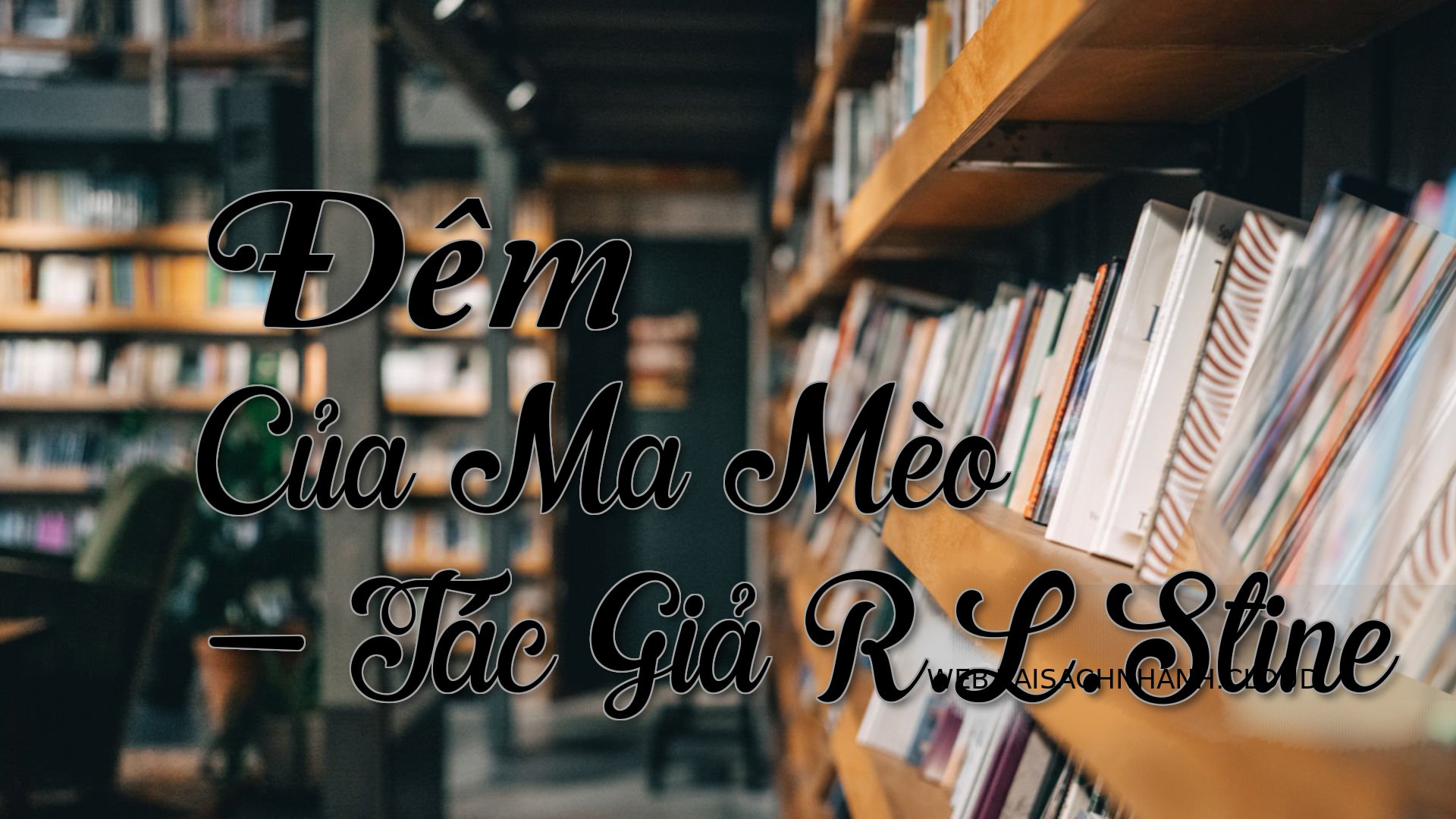 Cover Dem Cua Ma Meo.jpg